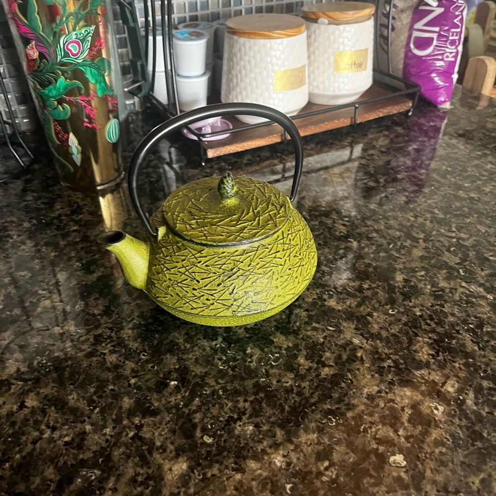 Iwachu Tetsubin Cast Iron Teapot Green Pine Needle Made In Japan